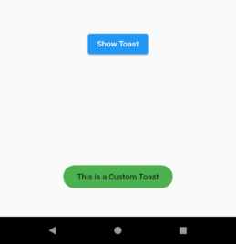 Flutter Toast Message Example Tutorial